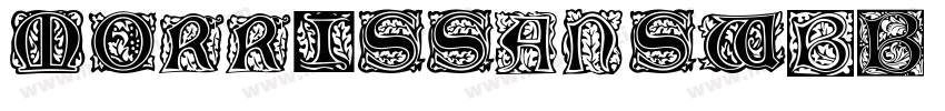 MorrisSansW01 Heavy字体转换